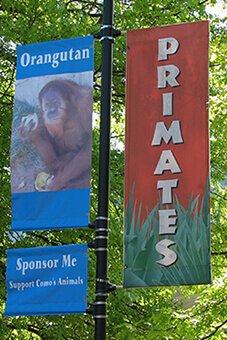MN Zoo Primates Pole Banner